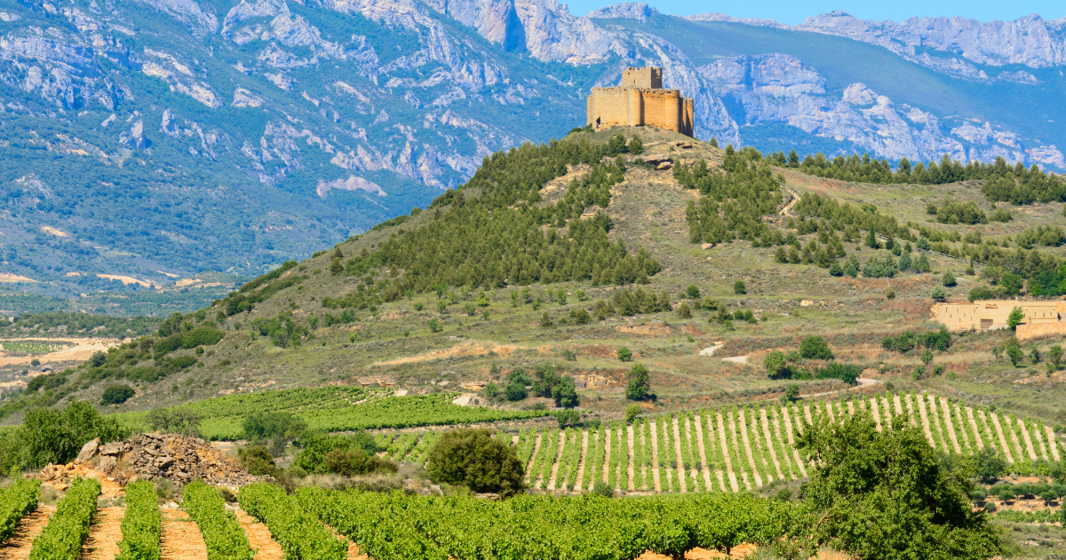 Vista panorámica de un viñedo en La Rioja con castillo de fondo y montañas