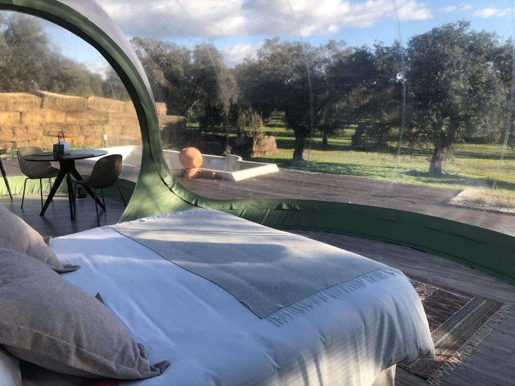 Vista interior de una habitación burbuja dentro del Glamping El Toril