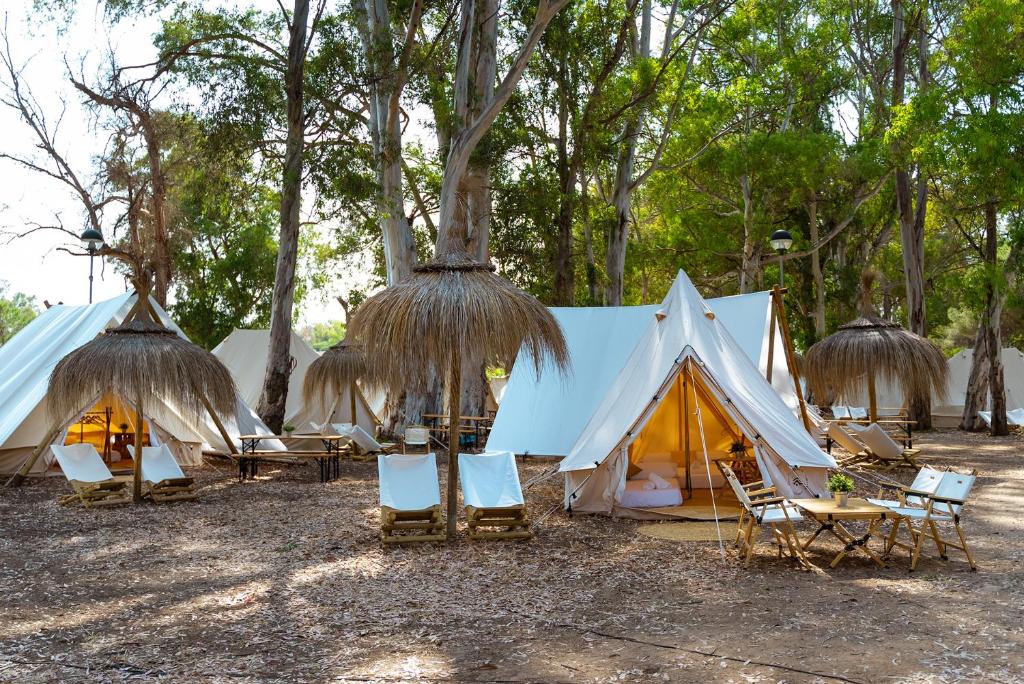 exterior de una parcela del glamping Kampaoh El Puerto de Santa María en Cadiz al atardecer