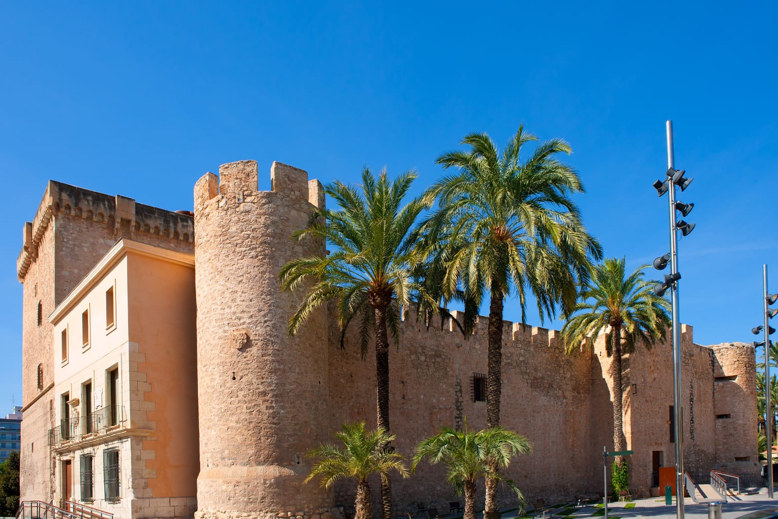 MAHE Elche