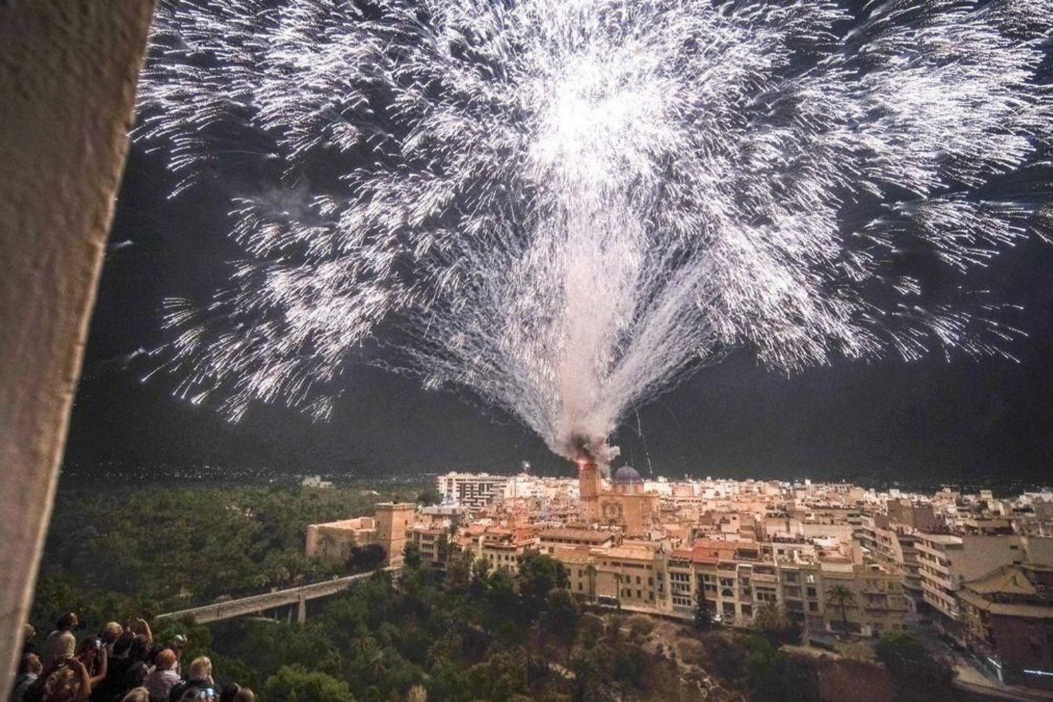 Vista de la lanzada de la Palmera Imperial de Elche en la Nit del'Alba