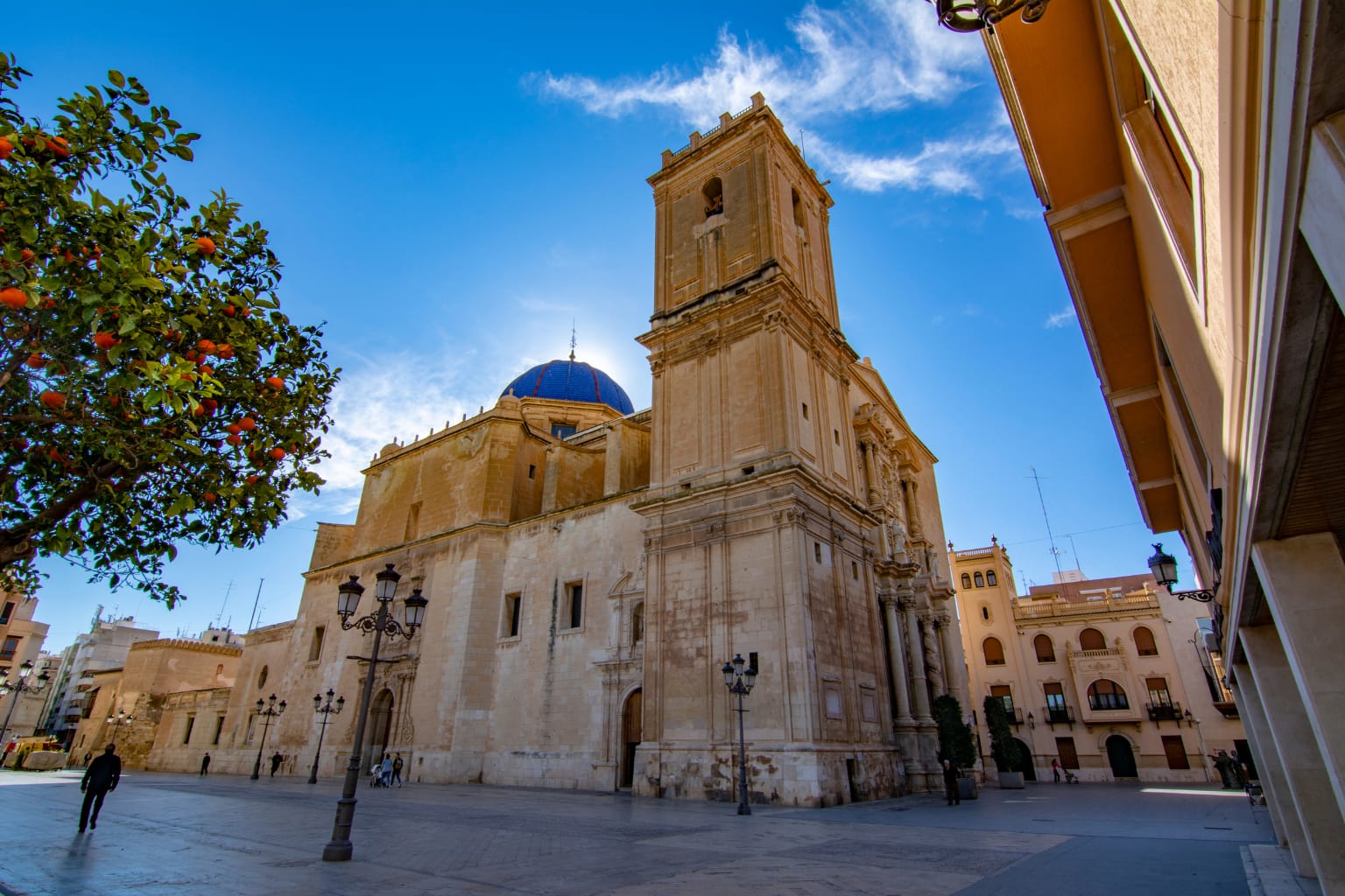 Basílica de Santa María de Elx, Alicante